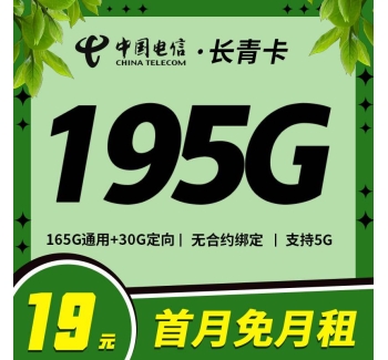 电信长青卡19元195G全国流量