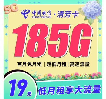 卡世界电信清芳卡19元185G