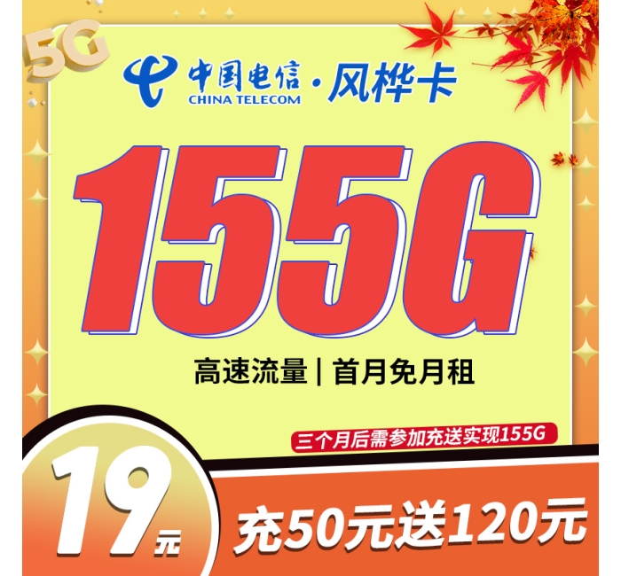 卡世界电信风桦卡19元155G